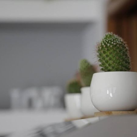 Iseo Lake Family&Friends Smart Home Buitenkant foto